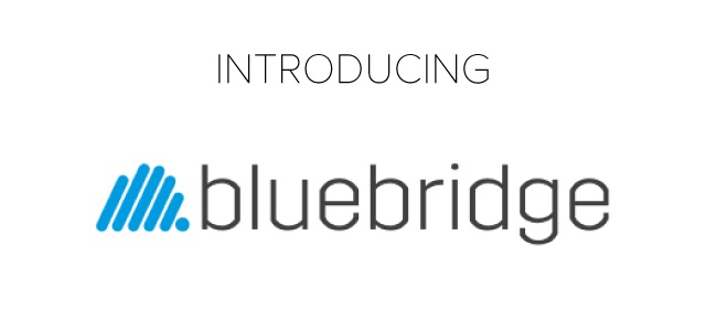 INTRODUCING-bluebridge.jpg